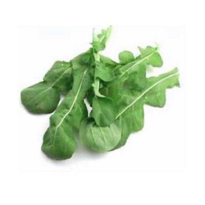 25 benih biji arugula roquette ruffec
