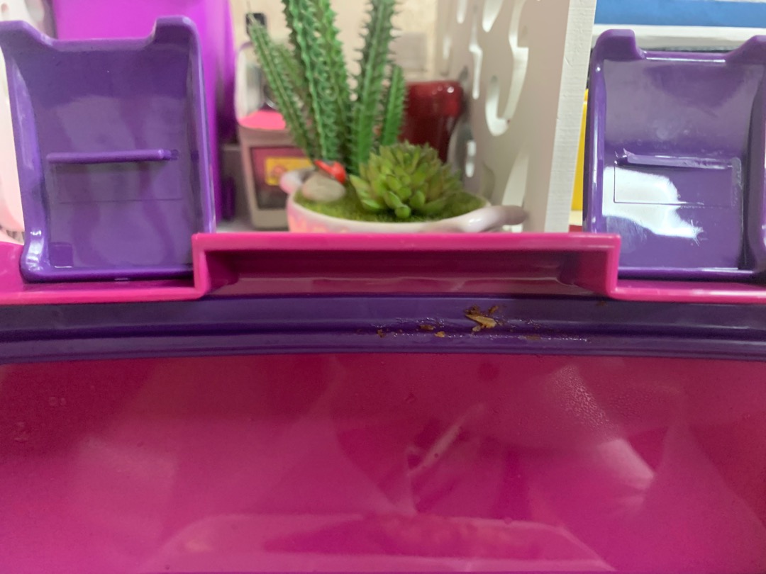 Yooyee #621 Kotak Makan Anti Nyampur 4sekat