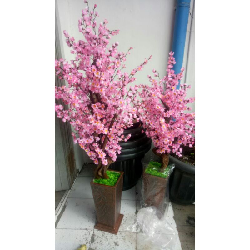 pohon rejeki / pohon angpao/ hiasan imlek/pohon sakura 1,5 meter