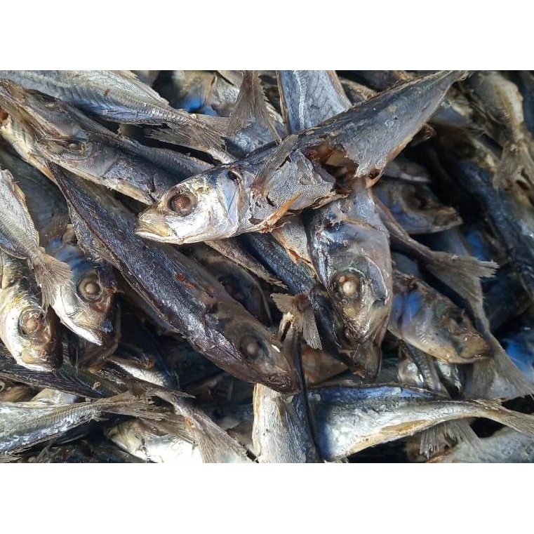 

Ikan Dencis Rebus (500gr)