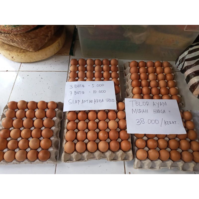 

Telur ayam super murah