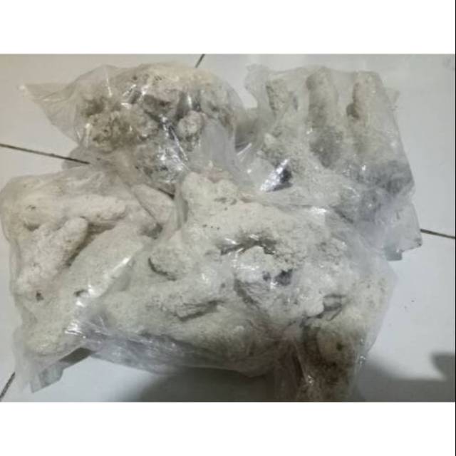 

BATU KARANG JAHE