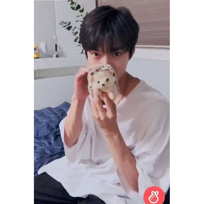 Boneka Sunlemon Mini Hedgehog / Dochi / Landak DOYOUNG NCT / Doll Doyoung ORIGINAL NEW