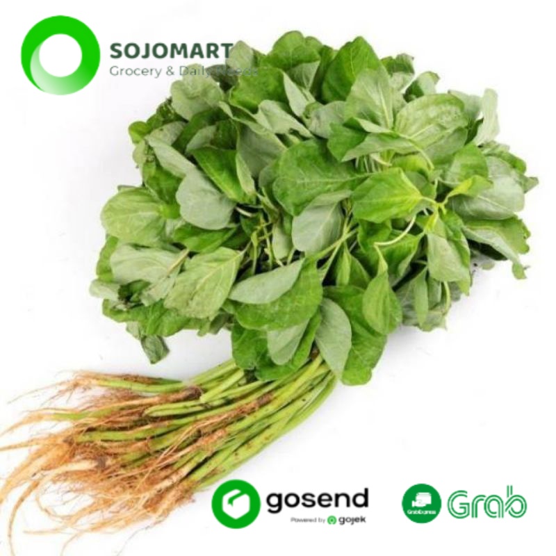 

Sayur Daun Bayam Per Ikat Murah Sayur Online Medan