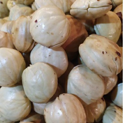 

RB22 Jengkol Jepara Asli Pulen 500gr