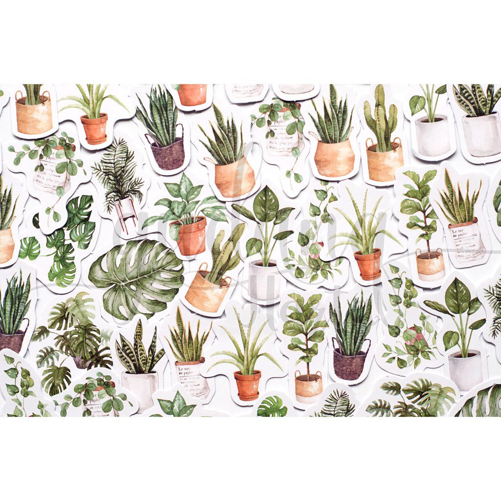 Stiker Decorative Plant Sticker Tanaman Indah DIY Scrapbook GH 303318