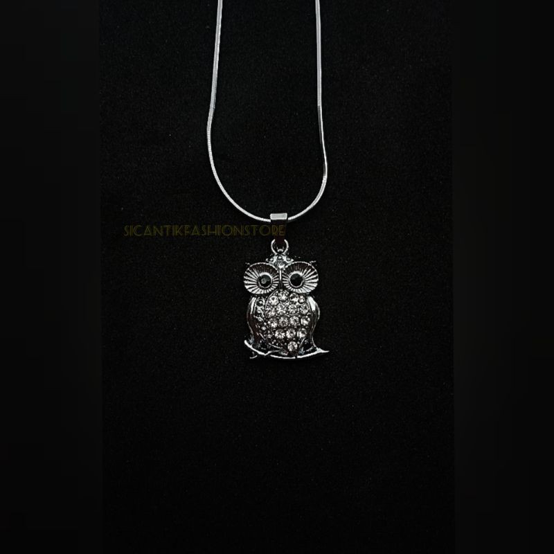 Kalung Titanium liontin burung hantu silver Fashion pria wanita terlaris anti Karat tidak luntur