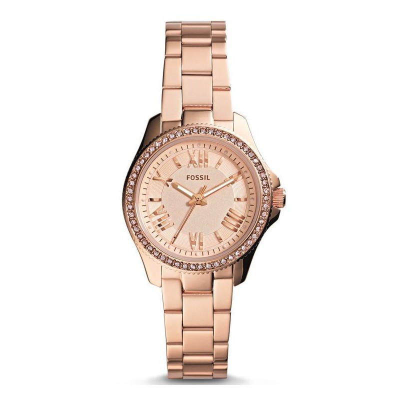 Promo Fossil Cecile Small AM4578 Berkualitas