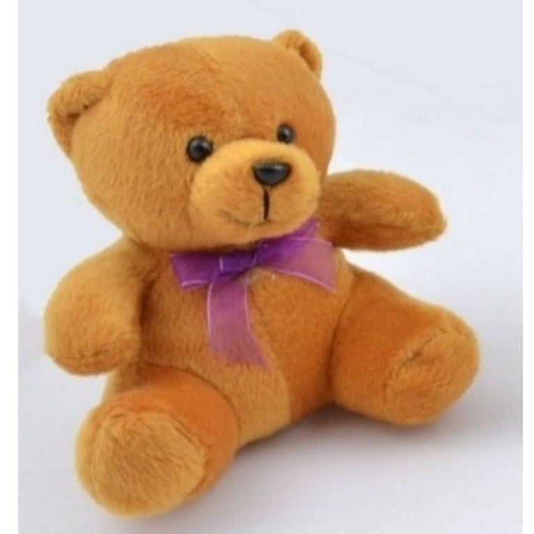 PROMO BONEKA TEDDY BEAR 18 CM / boneka wisuda /Boneka bear mini