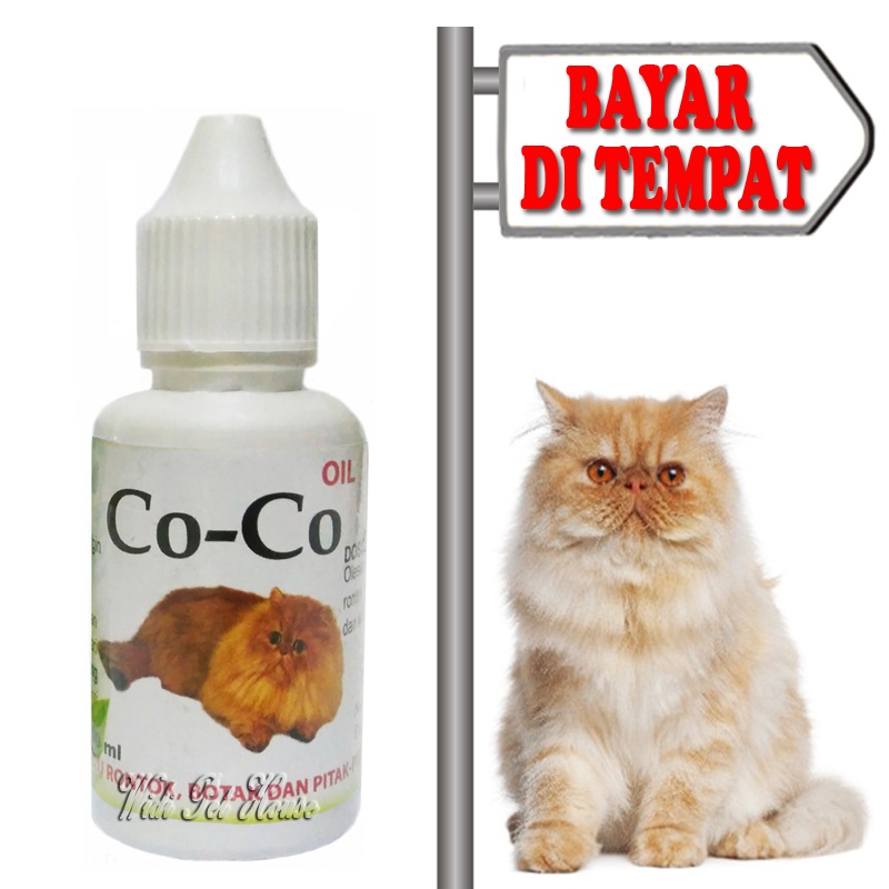 Obat Tumbuh Bulu Kucing Pitak Botak CoCo Oil