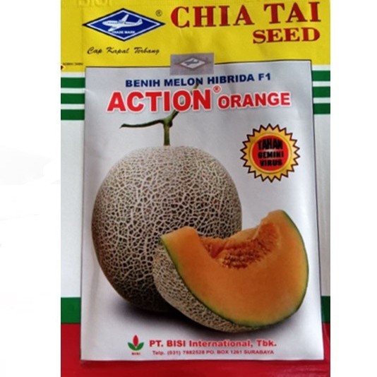 Benih Melon Hibrida F1 Action Orange 15Gram