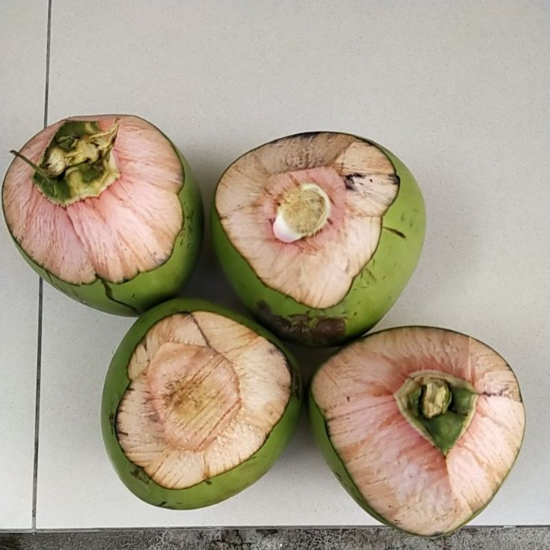 Kelapa Hijau