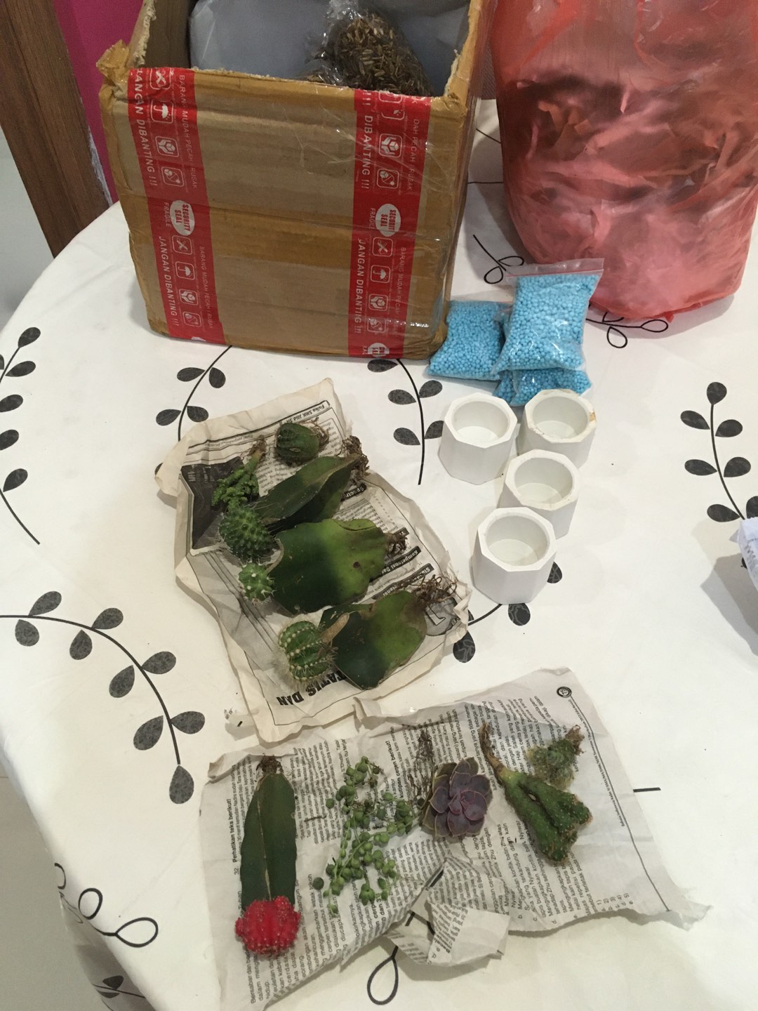 Grafting Warna Import
