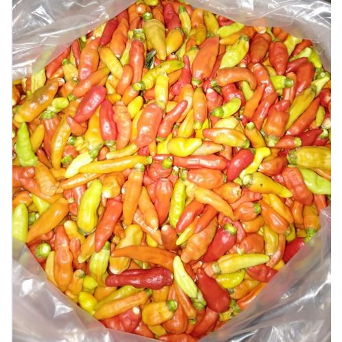 Cabe / Cabai Rawit merah petik / Red Chili Small 250 gram