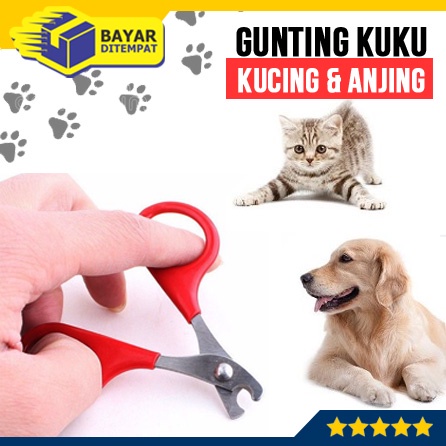 Gunting Kuku PENDEK Kucing Anjing Kelinci Binatang Hewan