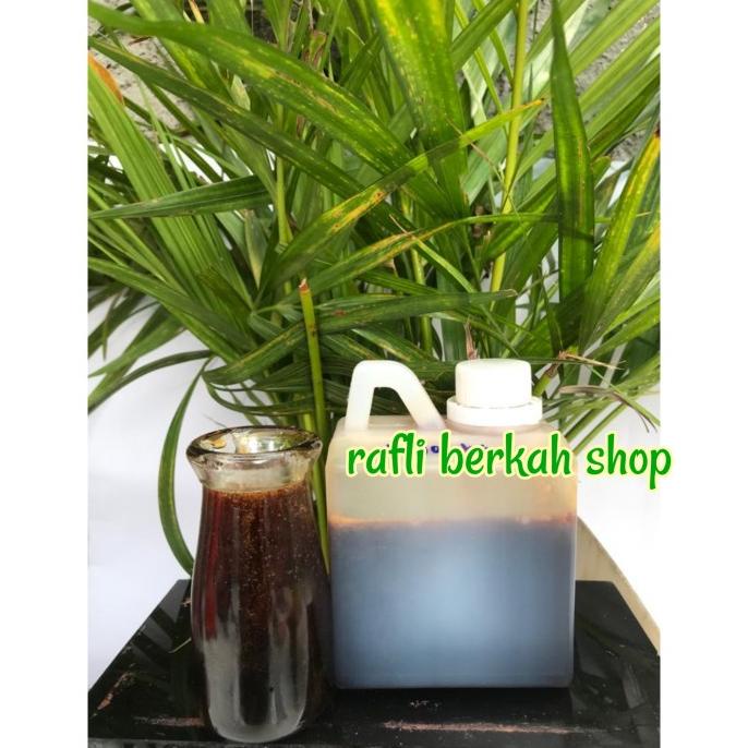 

Diskon madu murni hitam pahit kental. tanpa campuran herbal 500 gr Diskon