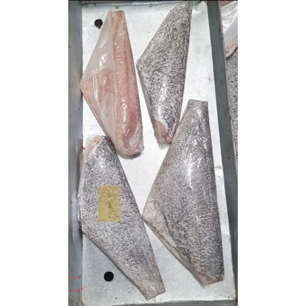 

ikan kaci-kaci fillet