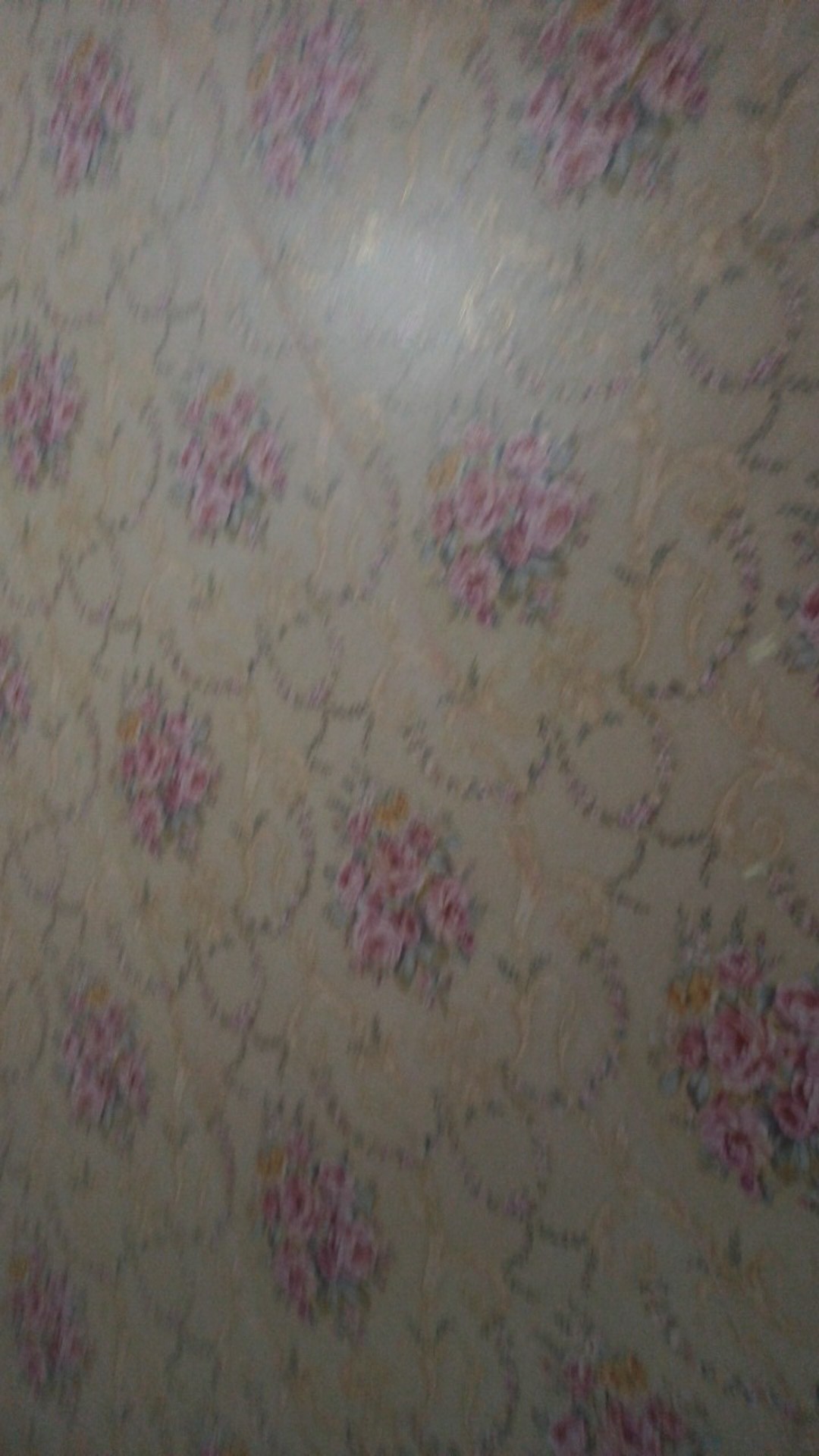 Rosh Wajan Anti Karat 32 Cm Stainless Steel Super Wok Twin Handle Ros-sw32 Chrome