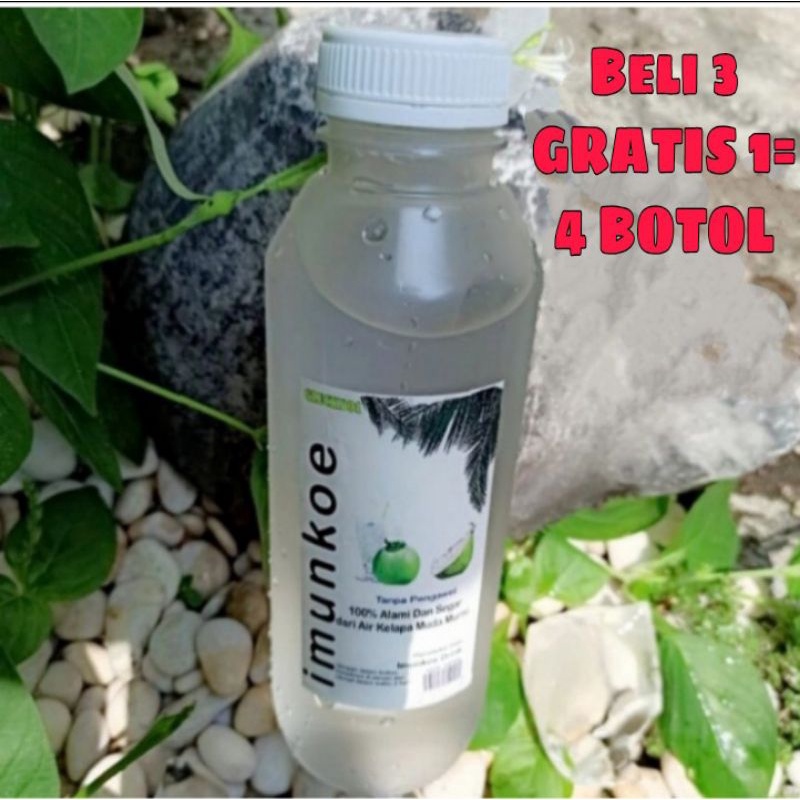 

AIR KELAPA MUDA SEGAR 500ML
