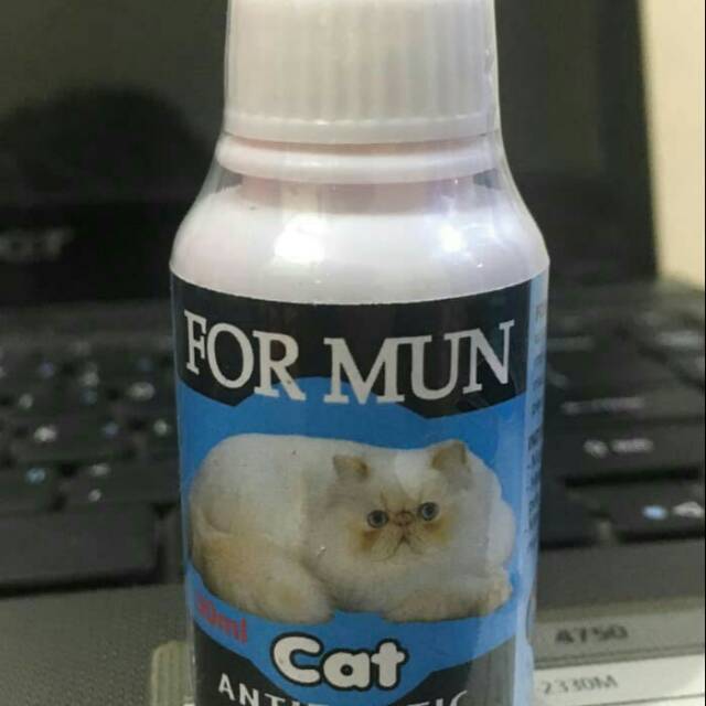 Obat kucing muntah For Mun