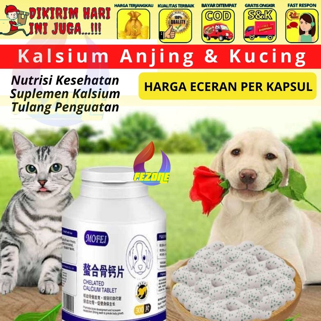 Vitamin Tulang Calcium Phosporus Anjing Kucing FEZONE