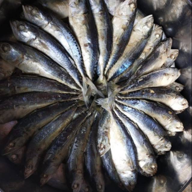 

Ikan Kembung Gembung Rebus Medan /1 Ekor