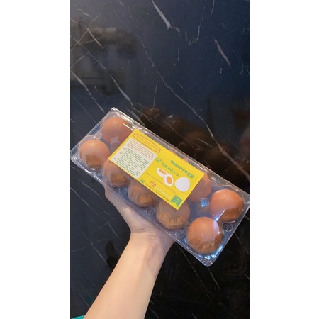 

Telur Ayam Negeri Segar 10pcs Fresh Egg Farm – Omega 3 – Telur Fresh Lampung