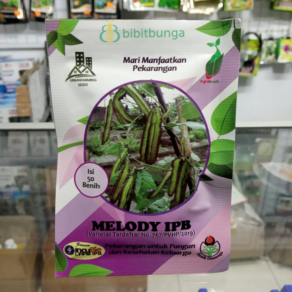 Benih Kecipir Lurik Melody IPB 50 Biji – Dramaga