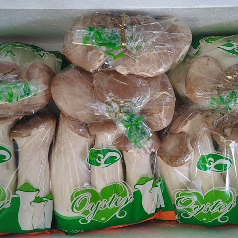 

Jamur King Oyster Medium (400gr) 1box