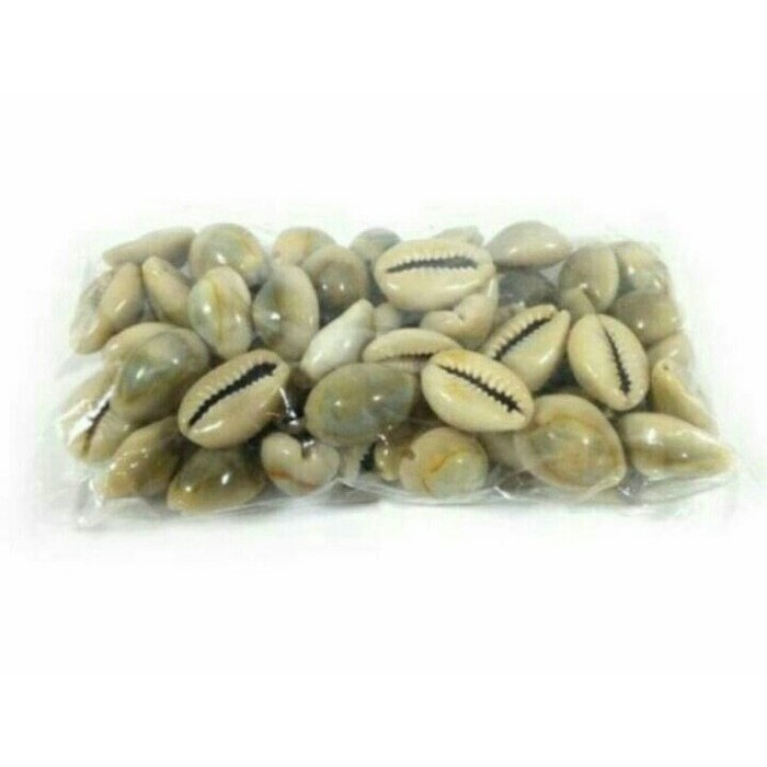 Unik BJ100CK   Isi 100 pcs Biji Congklak Kuwuk asli kerang Berkualitas