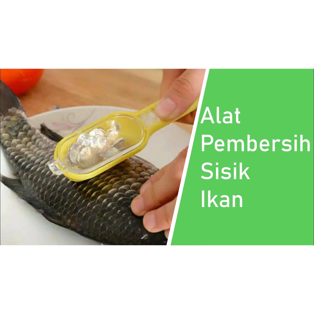 Alat pembersih sisik ikan Murah bahan plastik