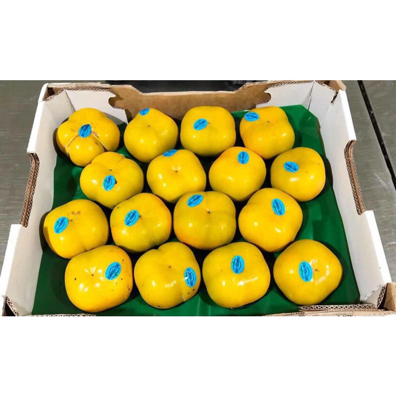 

Buah Persimmon Australia 1 Dus (3.5 KG) Fresh Import