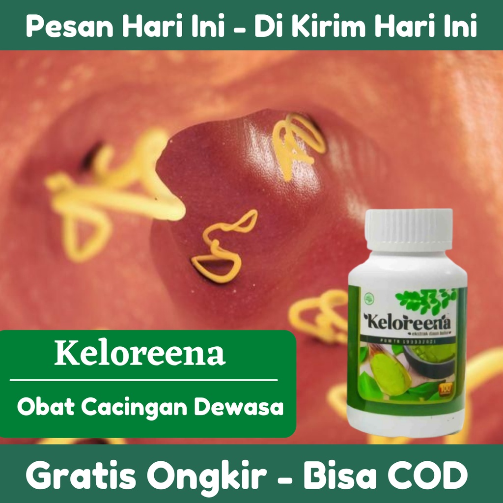 Jual Obat Cacingan Dewasa Cacing Pita Cacing Kremi Infeksi