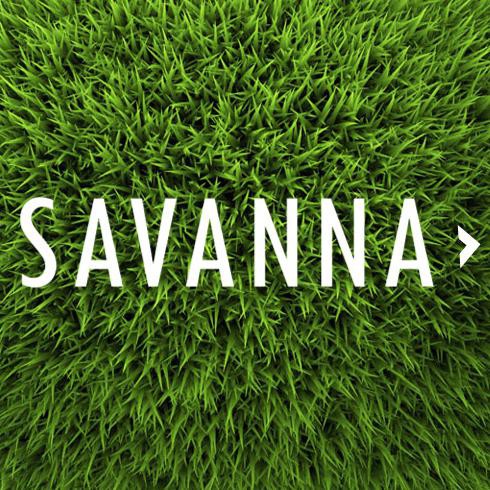 Produk Ready Pupuk Rumput Organik / Rumput Gajah / Rumput Gajah Mini Savanna 100 Ml