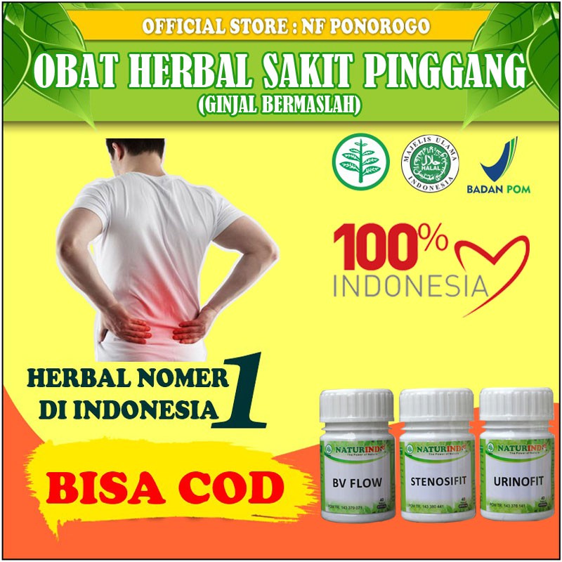 Obat Herbal Sakit Pinggang Belakang Saraf Kejepit Syaraf Sarap Kejepit Encok Pegal Linu  Pinggang Pinggul Dan Bokong Sebelah Kanan Kiri Kaki  Herbal Terbukti Paling Ampuh Tanpa Efek Samping Bpom Mui Naturindo Ori Original-GINJAL BERMASALAH