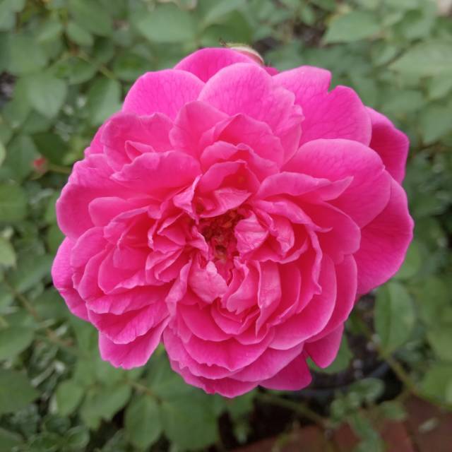 renyhartatidrwskincare