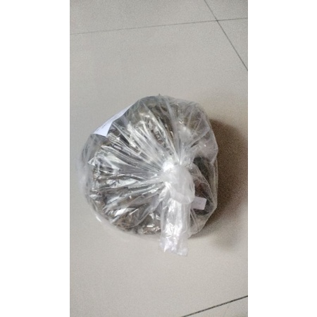 

jamu herbal khusus asam lambung