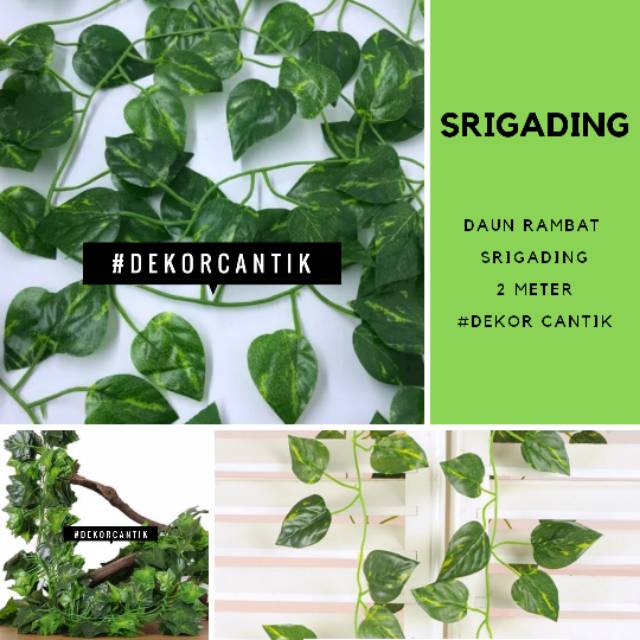 DR02 Daun Rambat Srigading / Daun Rambat Plastik / Daun Rambat / Srigading / Daun Plastik Dekorasi