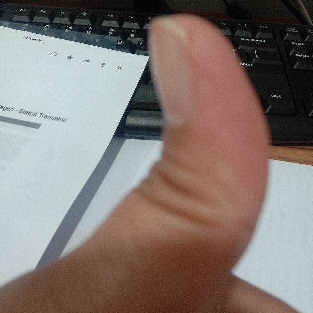 Go Send Only!!! Tissue Tisu Livi Roll Smart Due Toilet Gulung Naked 205s