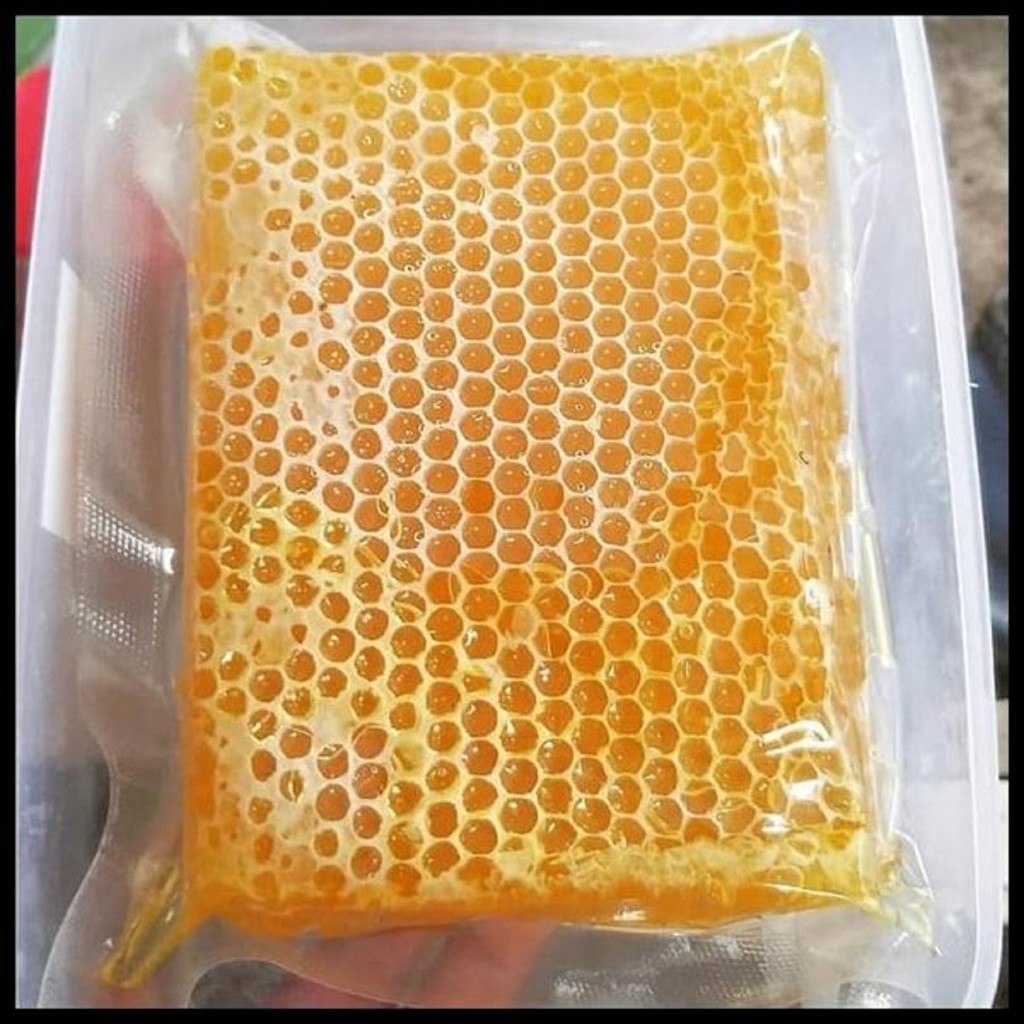 

Asli Murah Madu sarang Melifera Murni Premium Mellifera 500gr Original Terjamin