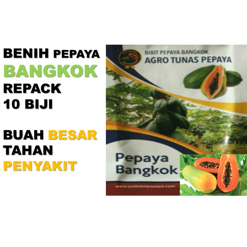 Jual Benih Pepaya Bangkok Buah Lebat Tahan Penyakit Shopee Indonesia