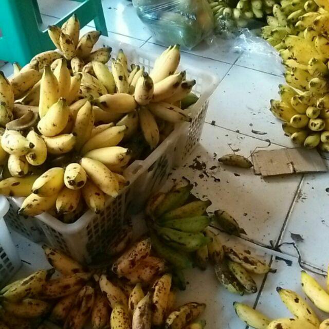 Sarung Batik Pekalongan