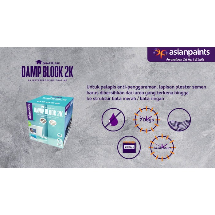 asianpaints damp block 2k Shopee Indonesia