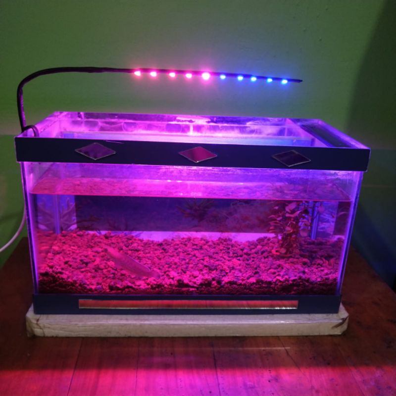 lampu aquarium led dua warna biru pink 10 titik