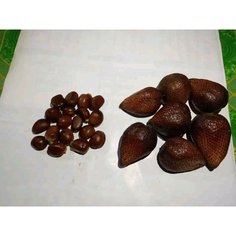 

Biji salak pondoh super 1 kg