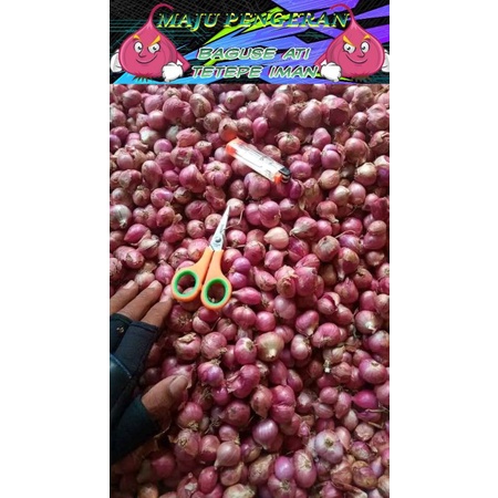 

Bawang merah SUPER A (TERMURAH 1KG)