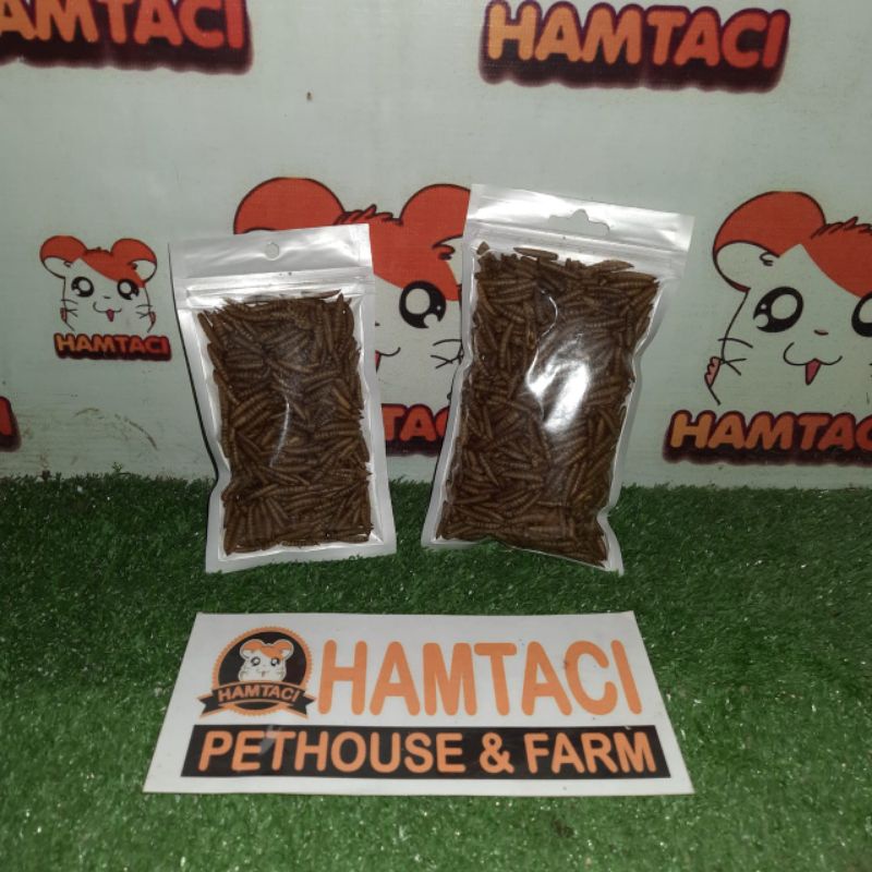 DRIED MAGGOT PROTEIN HAMSTER/GERBIL/SUGARGLIDER/LANDAK FOR DAILY