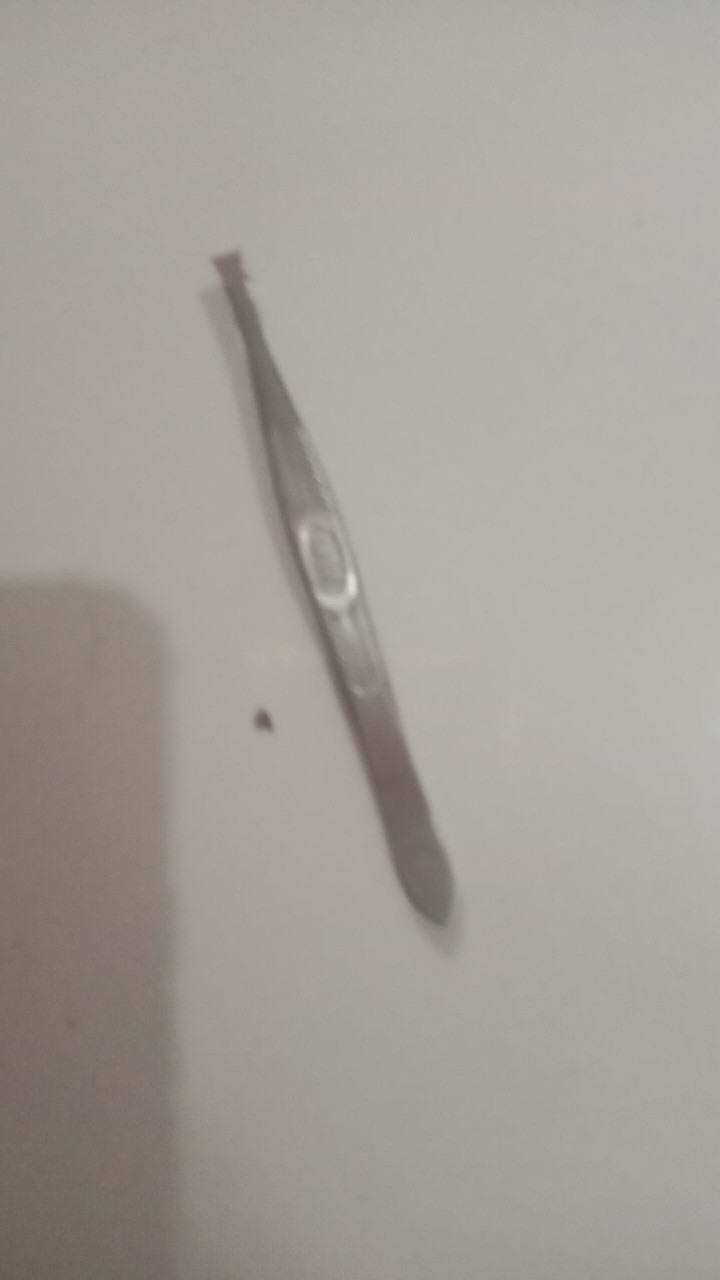 Angguk / Pencabut Bulu Stainless Wm