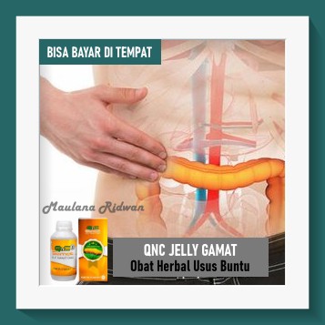 Obat Usus Buntu, Radang Usus Buntu, Radang Usus, Infeksi Usus, Obat Herbal Radang Usus Besar