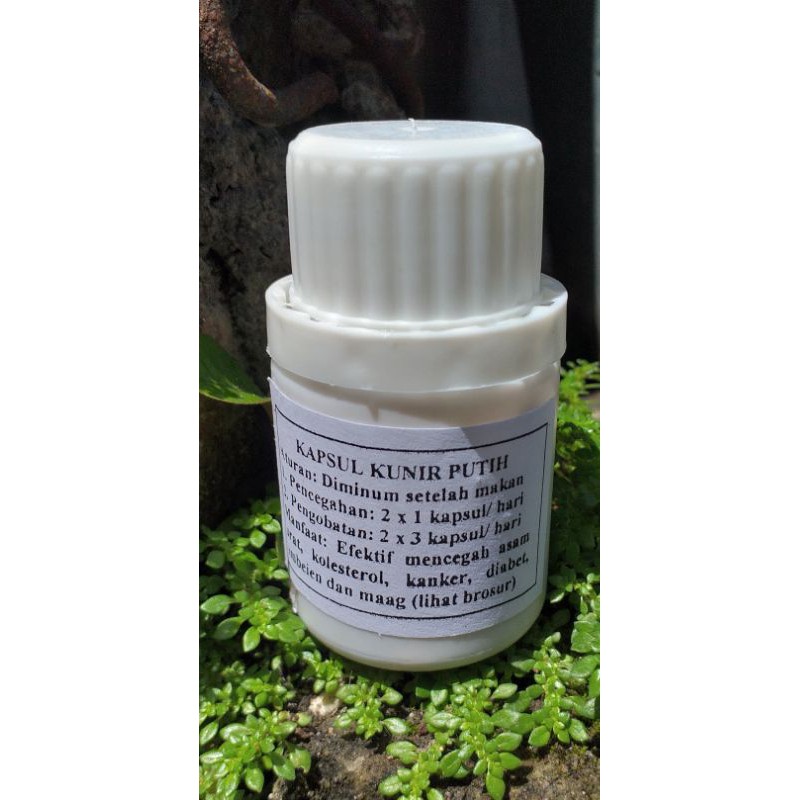 

kapsul kunir putih isi 60 kapsul produk Asli